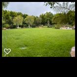 Bona Terra Landscaping, Inc: Service Image-9 Bona Terra Landscaping, Inc: Service Image-9