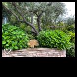 Bona Terra Landscaping, Inc: Service Image-10 Bona Terra Landscaping, Inc: Service Image-10