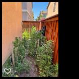 Bona Terra Landscaping, Inc: Service Image-12 Bona Terra Landscaping, Inc: Service Image-12