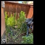 Bona Terra Landscaping, Inc: Service Image-13