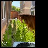 Bona Terra Landscaping, Inc: Service Image-14 Bona Terra Landscaping, Inc: Service Image-14