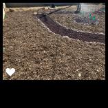 Bona Terra Landscaping, Inc: Service Image-17