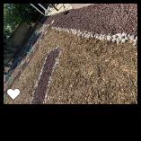 Bona Terra Landscaping, Inc: Service Image-19 Bona Terra Landscaping, Inc: Service Image-19