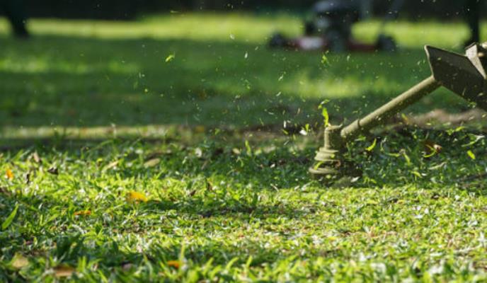 Bona Terra Landscaping, Inc: Service Image-3 Bona Terra Landscaping, Inc: Service Image-3