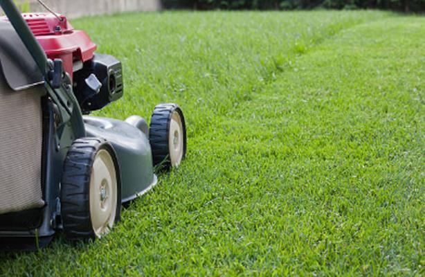 Bona Terra Landscaping, Inc: Service Image-4 Bona Terra Landscaping, Inc: Service Image-4