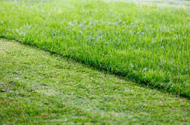 Bona Terra Landscaping, Inc: Service Image-5 Bona Terra Landscaping, Inc: Service Image-5