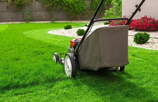 Bona Terra Landscaping, Inc: Service Image-7 Bona Terra Landscaping, Inc: Service Image-7