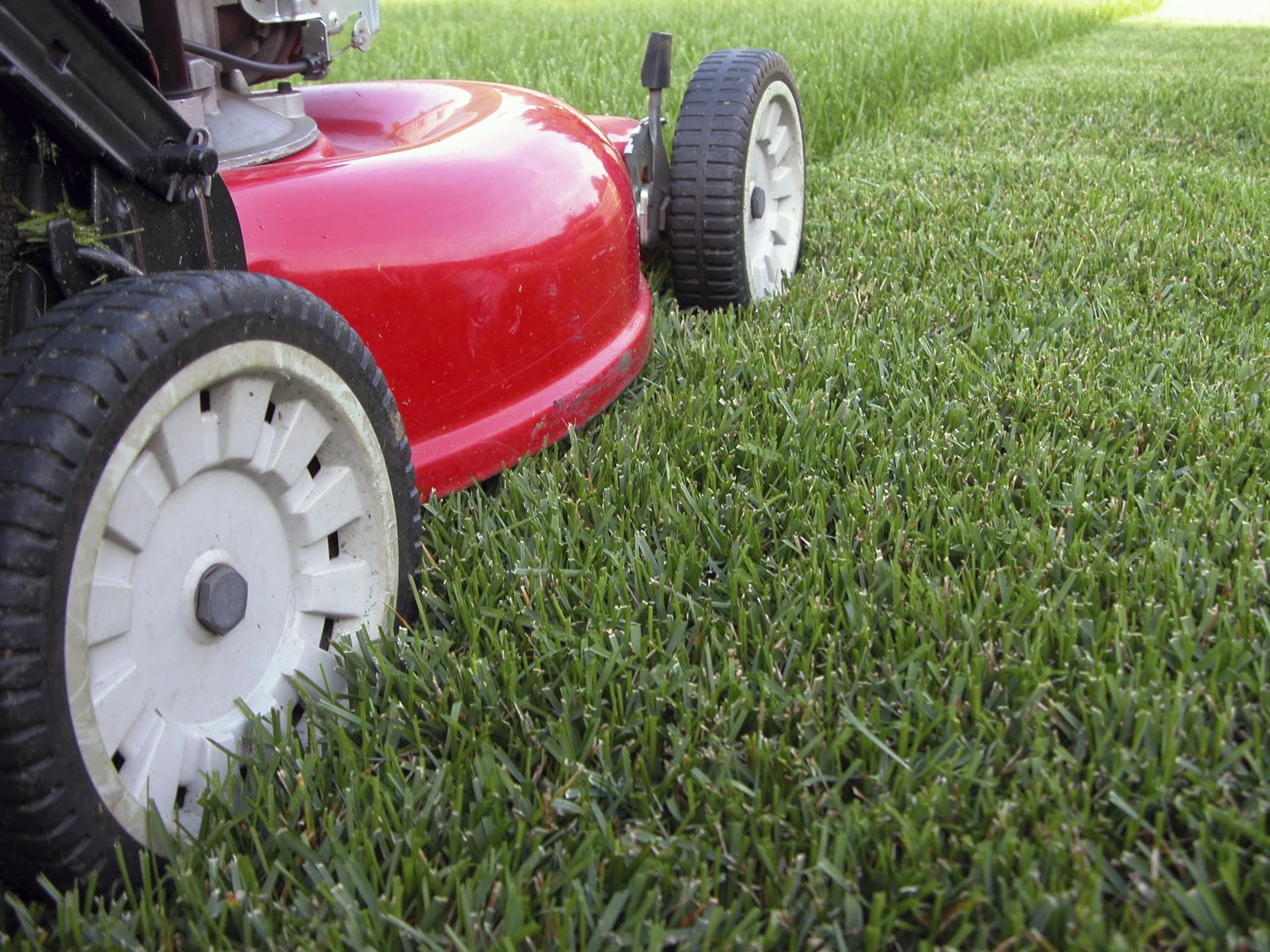 Bona Terra Landscaping, Inc: Service Image-0 Bona Terra Landscaping, Inc: Service Image-0